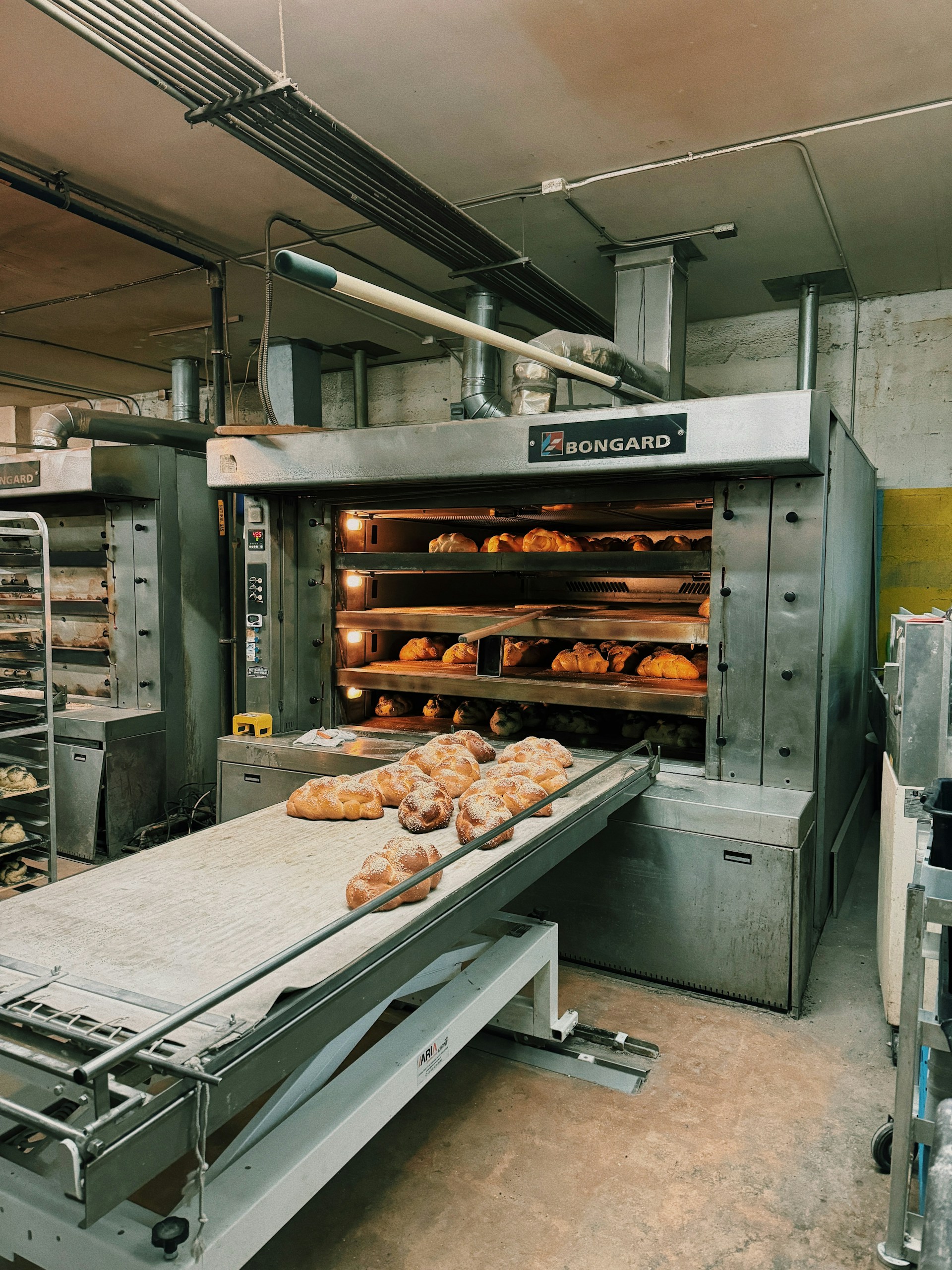 An accurate amount of loaves of bread being baked for wholesale orders.